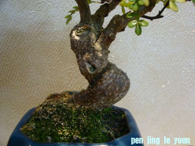 DSC01129.JPG