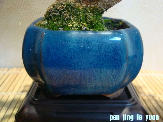 DSC01131.JPG