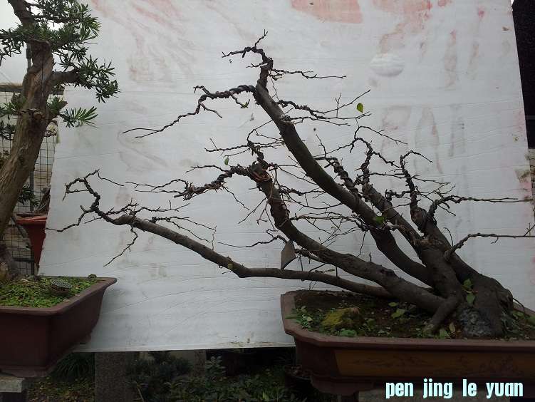 20121123_145425.jpg