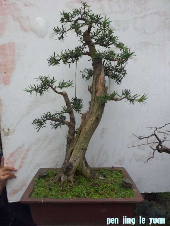 20121123_145622.jpg