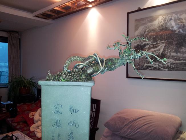 20121124_171746.jpg