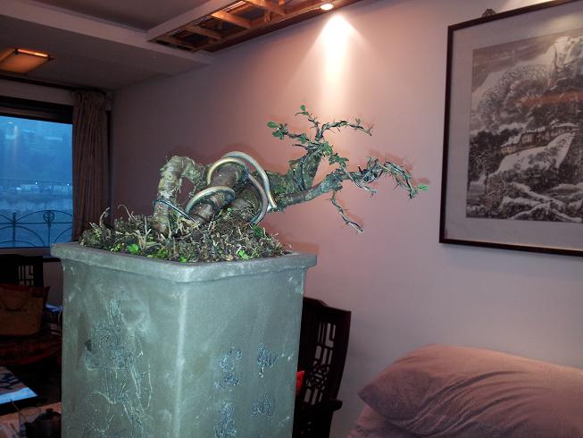 20121124_171805.jpg
