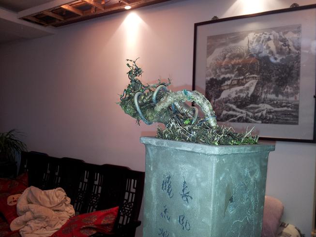 20121124_171818.jpg