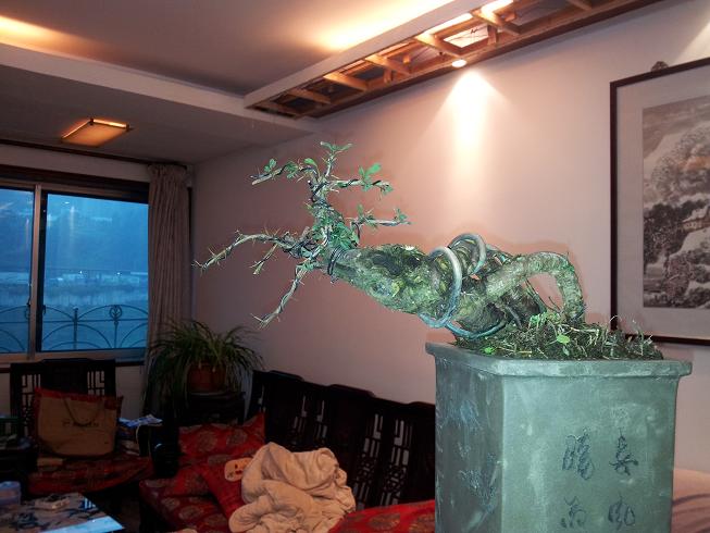 20121124_171843.jpg