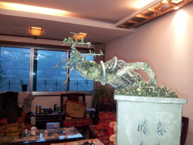 20121124_171847.jpg