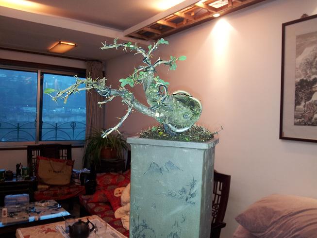 20121124_171900.jpg