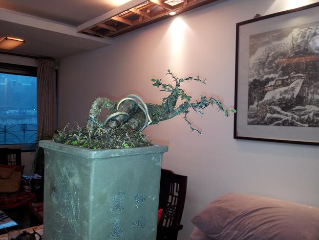 20121124_171915.jpg
