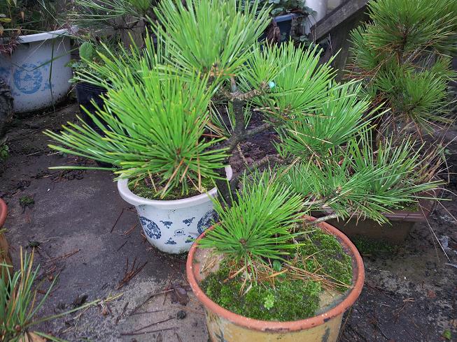 20121124_163306.jpg