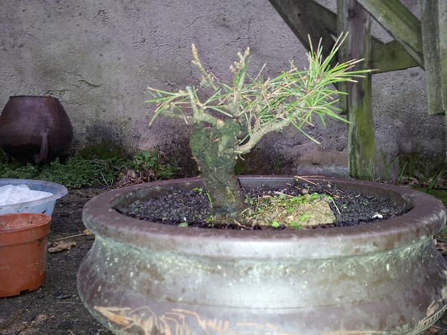 20121124_163331.jpg