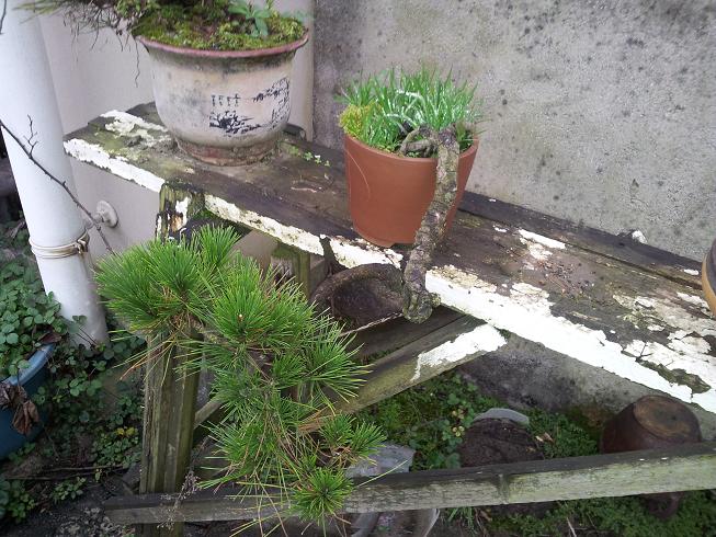 20121124_163421.jpg