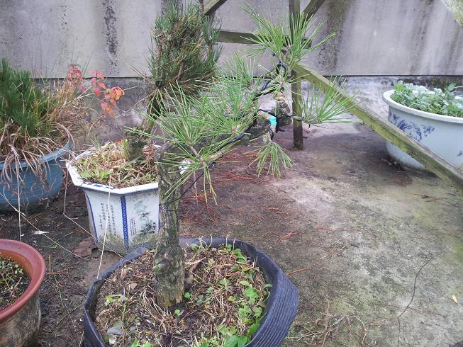 20121124_163708.jpg
