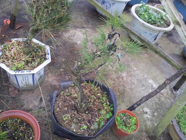 20121124_163713.jpg