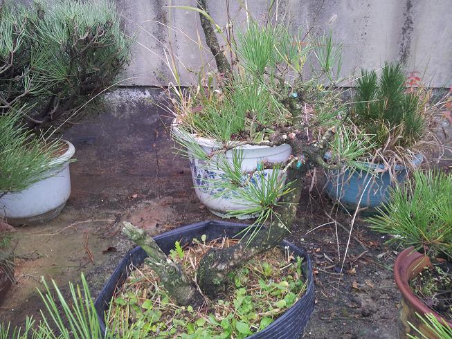 20121124_163727.jpg