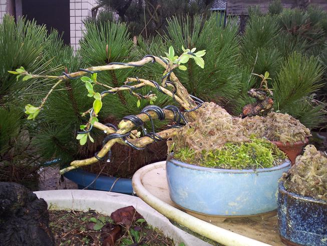 20121124_163227.jpg