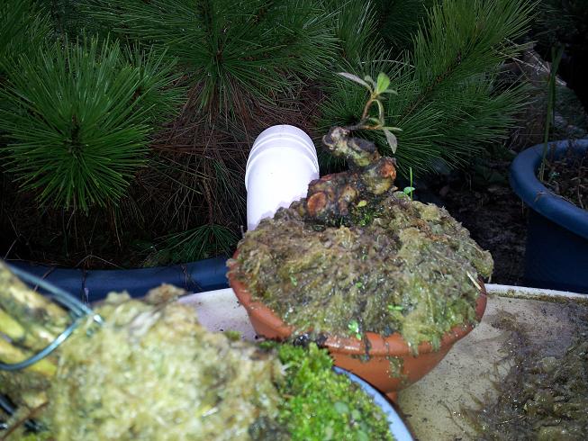 20121124_163233.jpg
