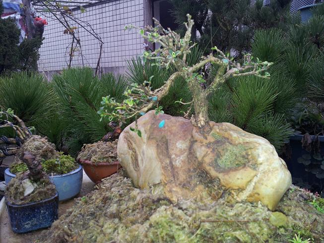 20121124_163244.jpg
