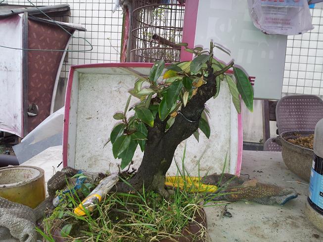 20121124_124155.jpg