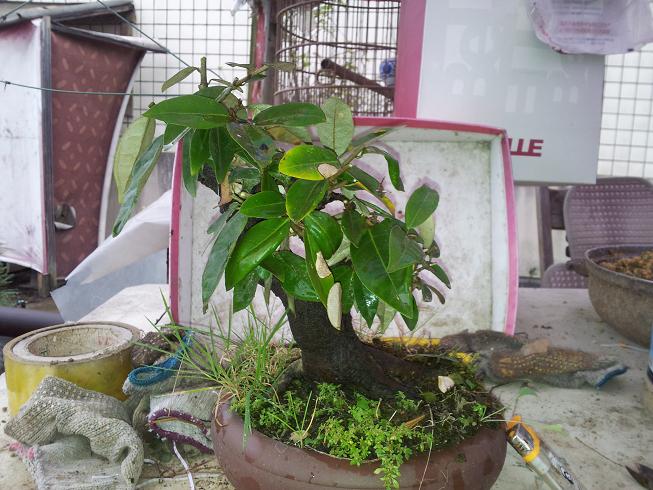 20121124_124209.jpg