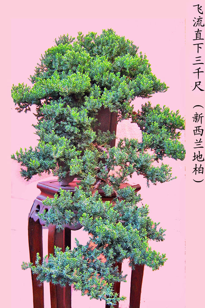 06.jpg