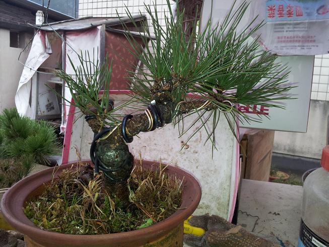 20121124_123003.jpg