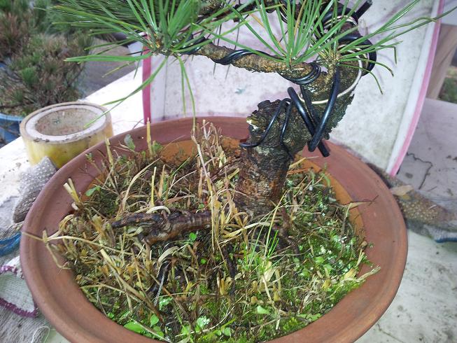 20121124_123018.jpg