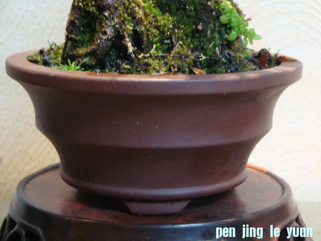 DSC01226.JPG