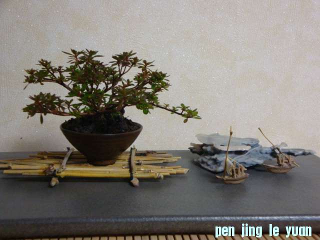 DSC01311.JPG