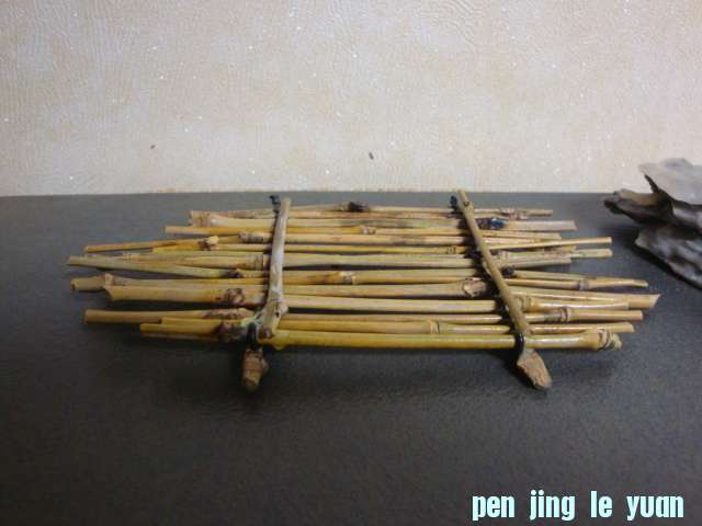 DSC01314.JPG