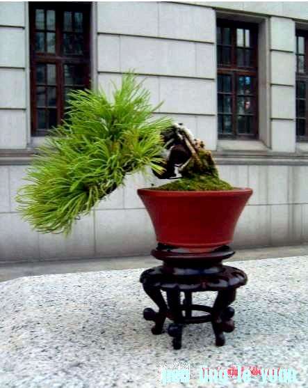 Ƭ޸һ£ӦúõˣǺǣ