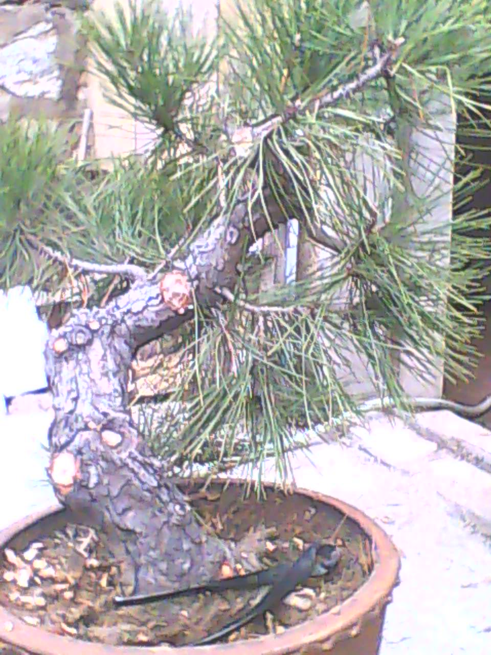 121126B065.jpg