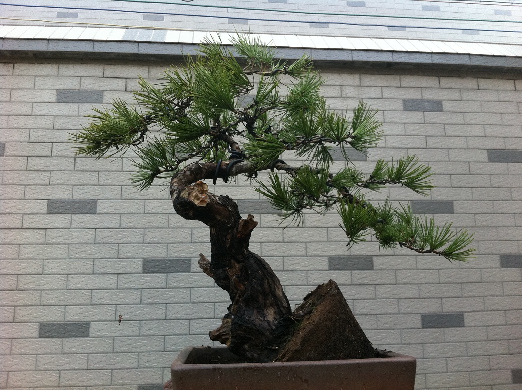 20121126 004.JPG