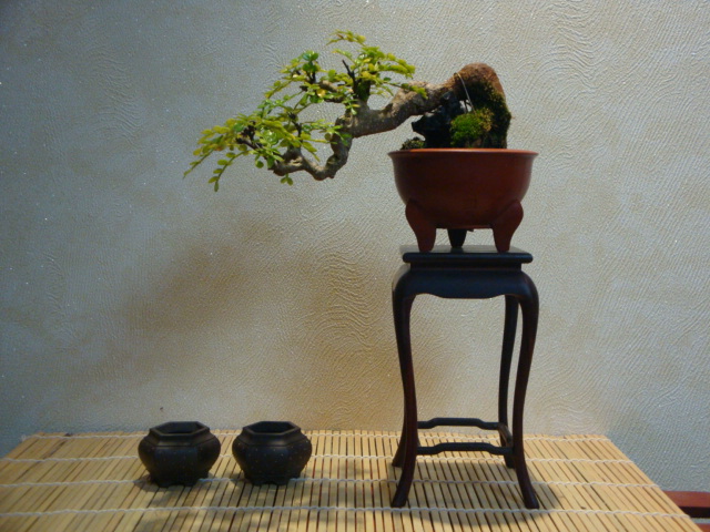 DSC01133.JPG
