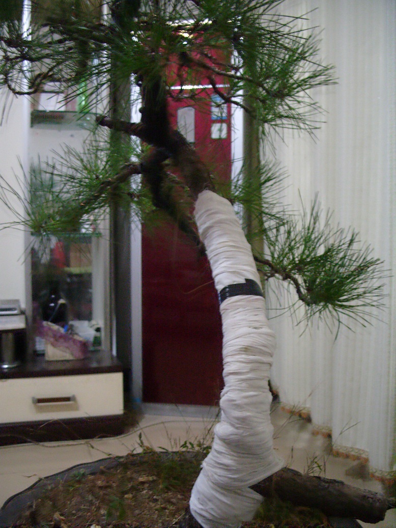 S1051730.JPG