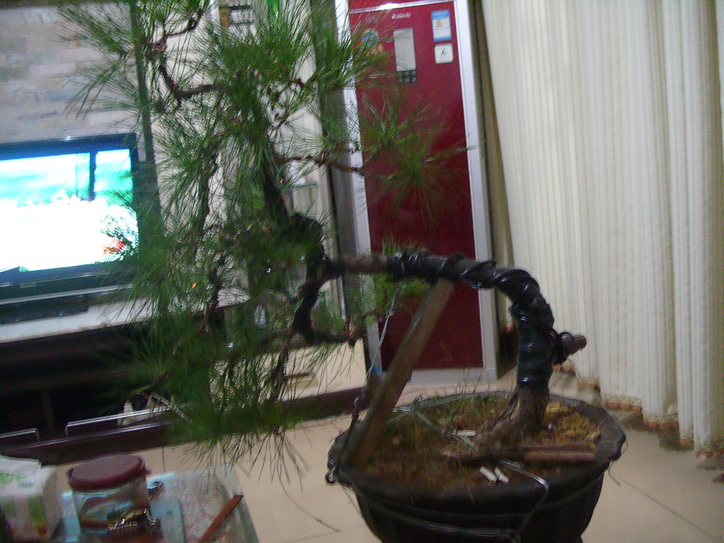 S1051733.JPG