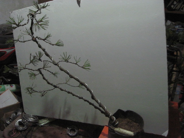 2012-11-27 003.jpg