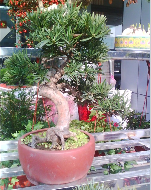 ȸ޺1.jpg