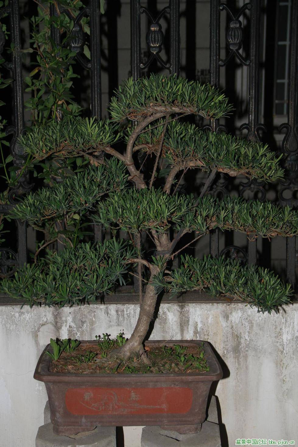 ȸ޺1.jpg