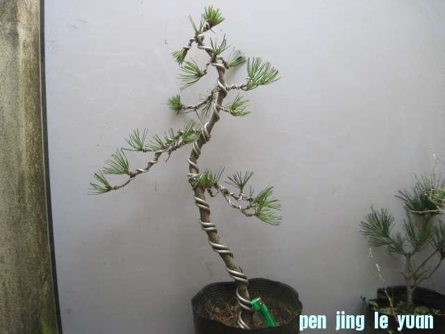 2012-11-28 001.jpg