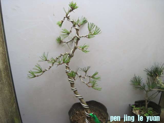 2012-11-28 002.jpg