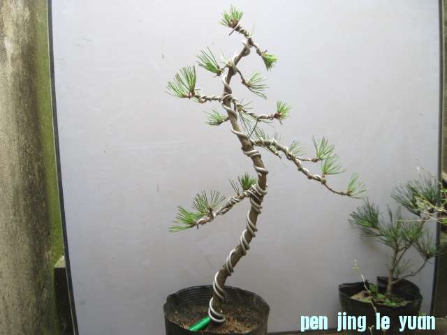 2012-11-28 003.jpg