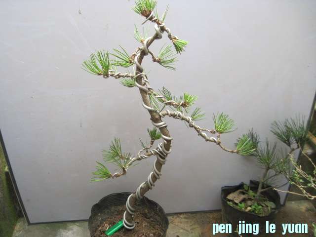 2012-11-28 004.jpg