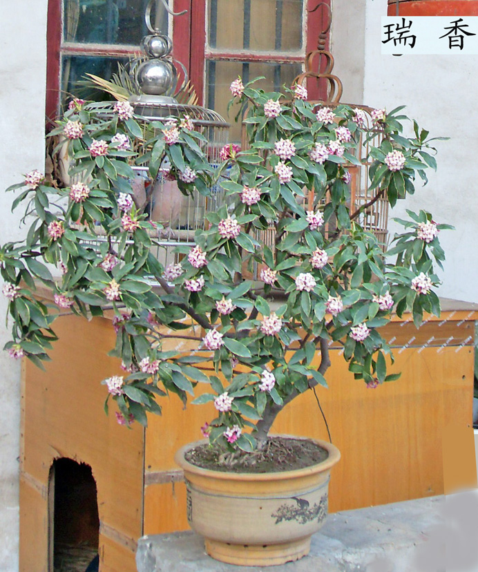 04.jpg