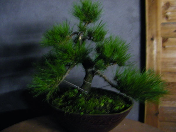 100_2112.jpg