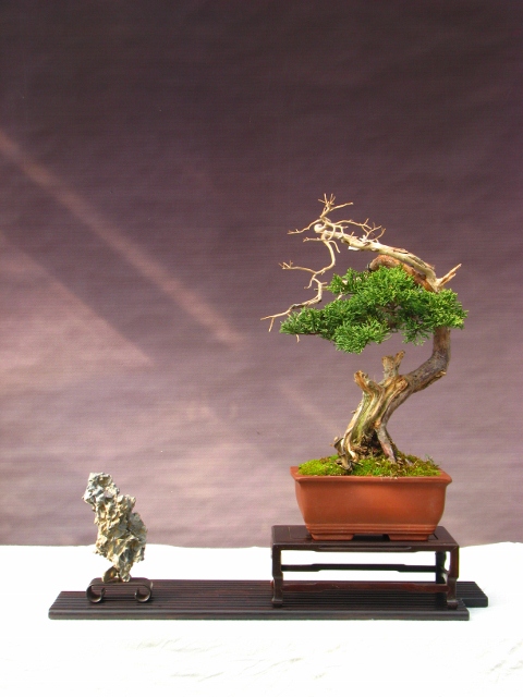 IMG_0076 (480x640).jpg