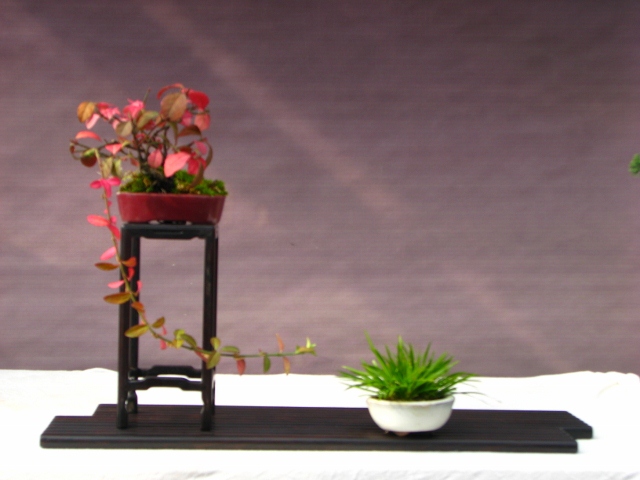 IMG_0082 (640x480).jpg