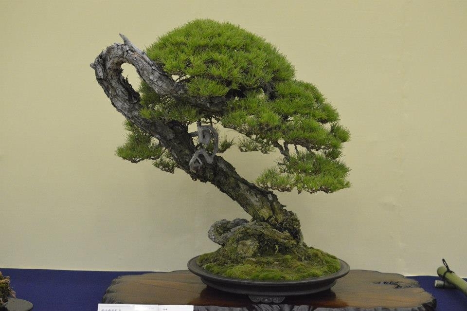 Taikan Ten 2012 016.jpg