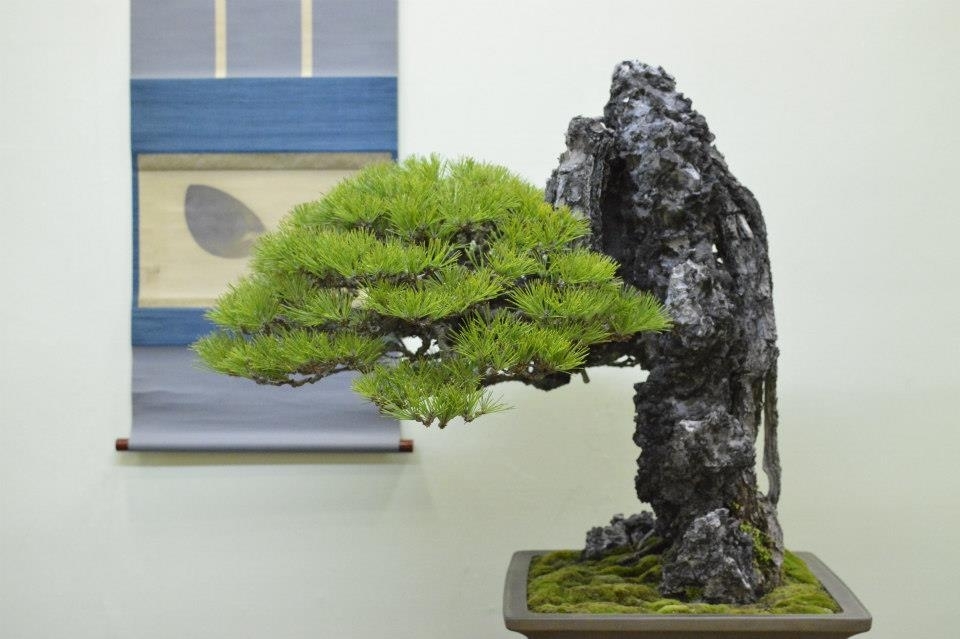 Taikan Ten 2012 018.jpg