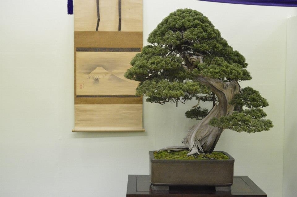Taikan Ten 2012 022.jpg