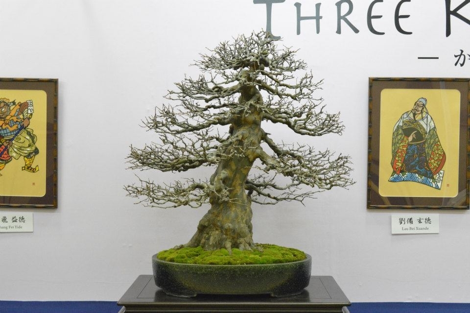 Taikan Ten 2012 025.jpg