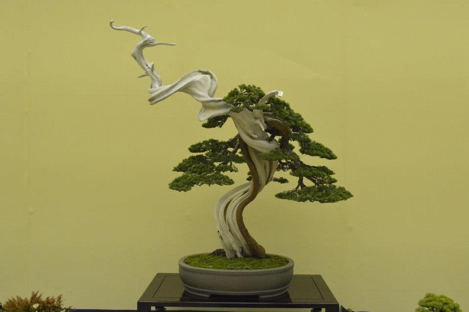 Taikan Ten 2012 028.jpg